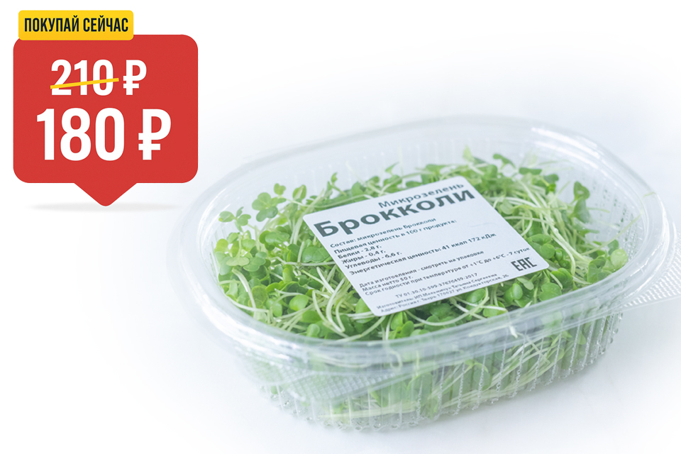 Микрозелень брокколи